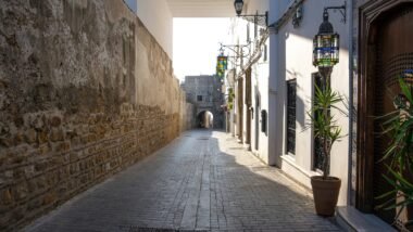a narrow alley way with a potted plant on the side